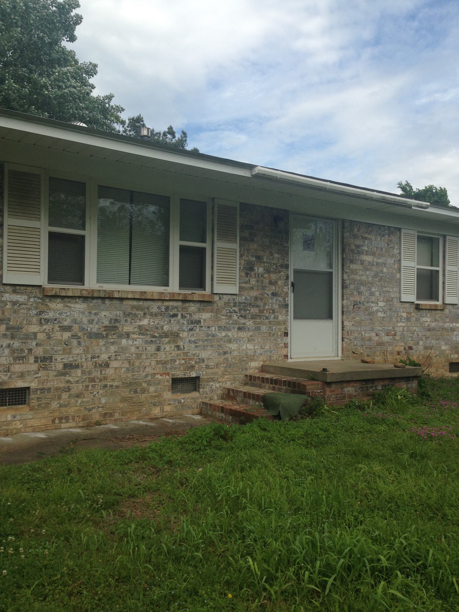 5b house.jpg